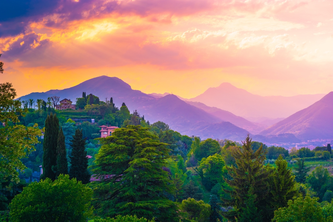 shutterstock_1342046669