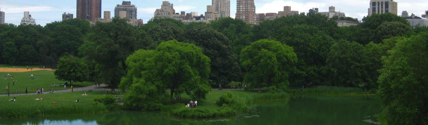NYC-CentralPark NYC-CentralPark