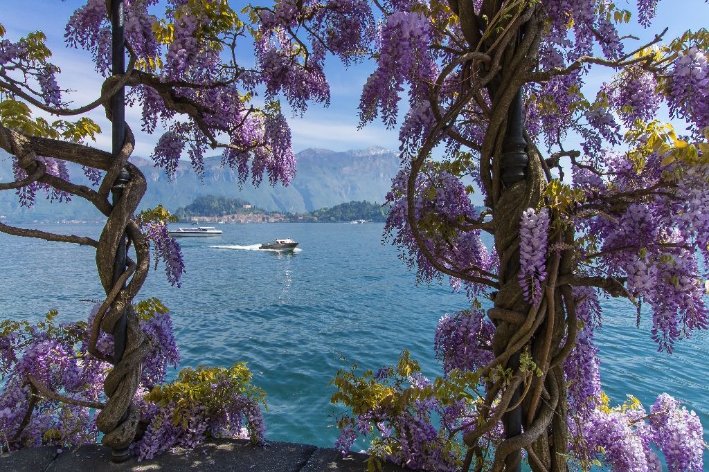 Griante-tremezzo,,Lake,Como,Italy