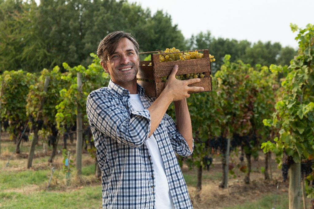 A,Happy,Successful,Male,Farmer,Or,Winemaker,Is,Walking,In