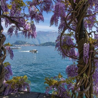 Griante-tremezzo,,Lake,Como,Italy